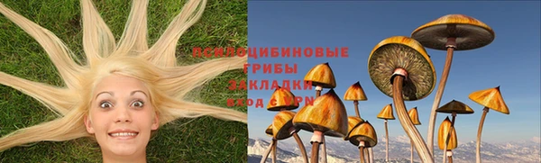 ГАЛЛЮЦИНОГЕННЫЕ ГРИБЫ Балахна