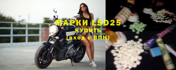 ГАЛЛЮЦИНОГЕННЫЕ ГРИБЫ Балахна