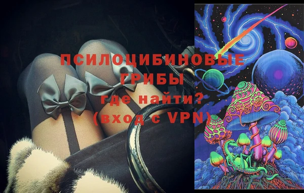 ГАЛЛЮЦИНОГЕННЫЕ ГРИБЫ Балахна