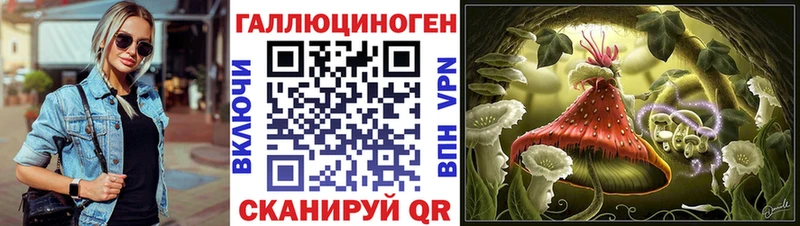 купить сайты Нея Псилоцибиновые грибы MAGIC MUSHROOMS